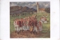 Preview: Kroatische Volkstracht HR 1932 95 003 ●